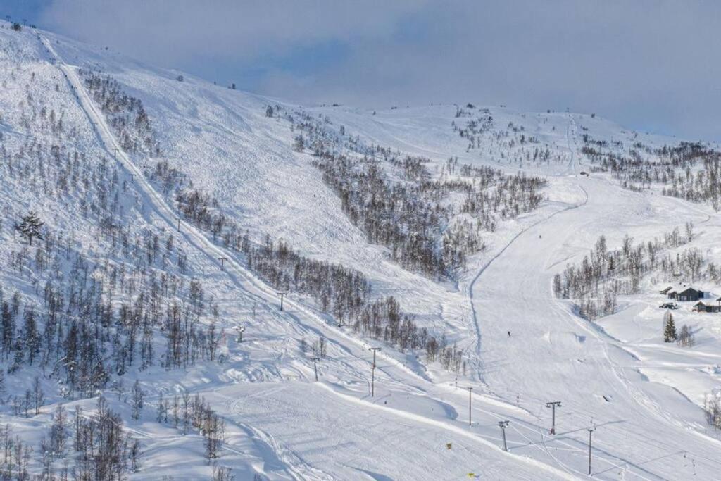 Апартаменты Leilighet - Panorama View - Sogndal Skisenter Hodlekve Экстерьер фото